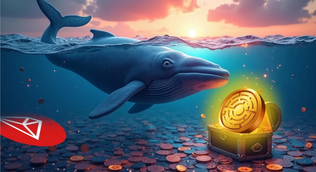 A bálnák 691 milliárd dollárra pörgették a TRON-t
