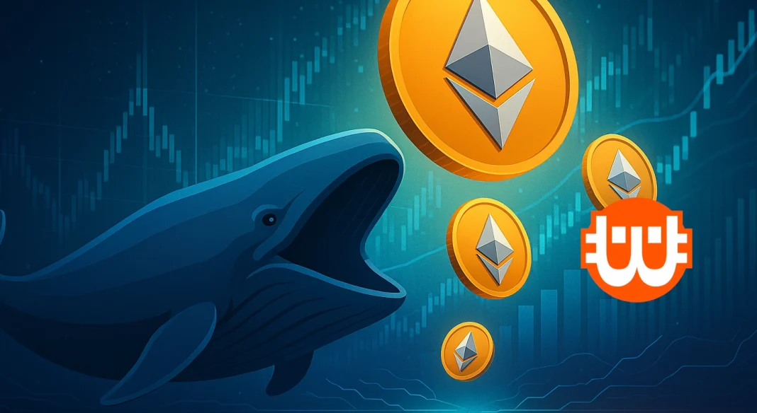Új rekordra törnet az Ethereum-bálnák, de meddig tarthat a lendület?