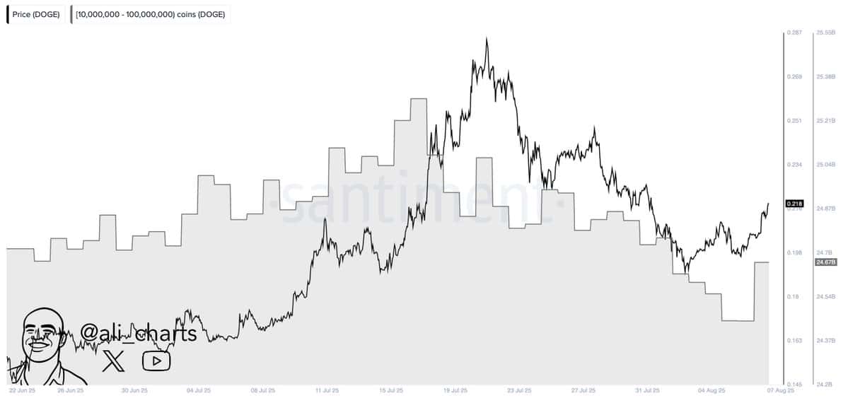 dogecoin
