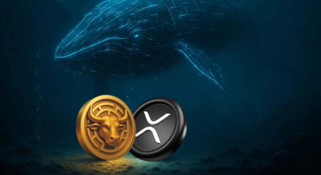 A bálnák továbbra is vásárolják a zuhanást — Íme az 1000%-os altcoinok, amelyeket tömegesen halmoznak fel