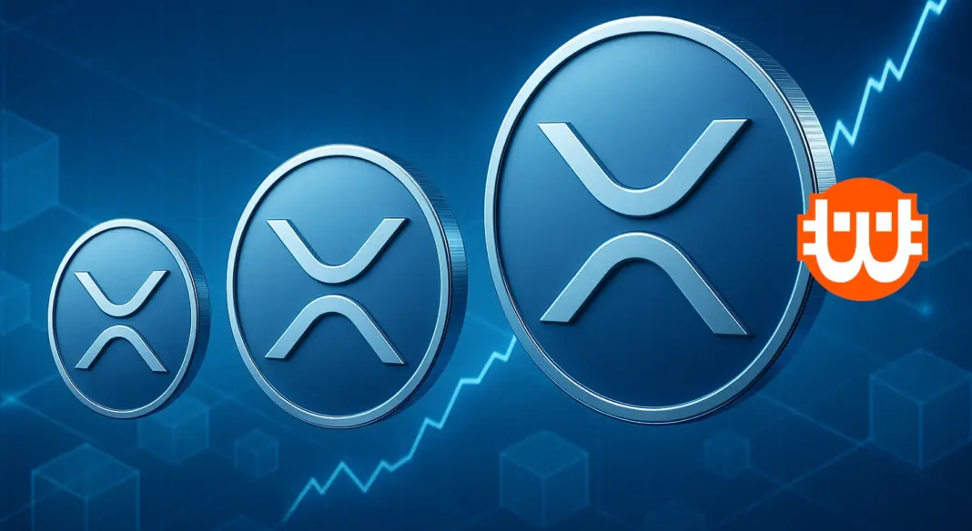 Rekordot döntött az XRP – soha nem volt ennyi Ripple-nagybefektető