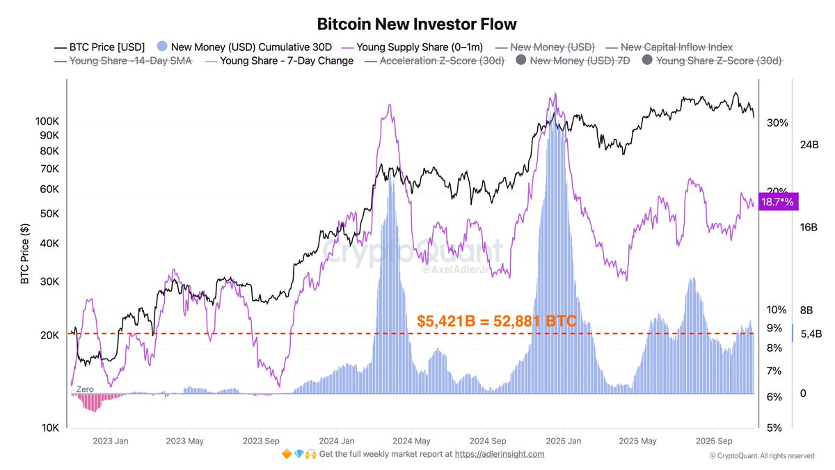 bitcoin új befektetők áramlása | Forrás: Axel Adler