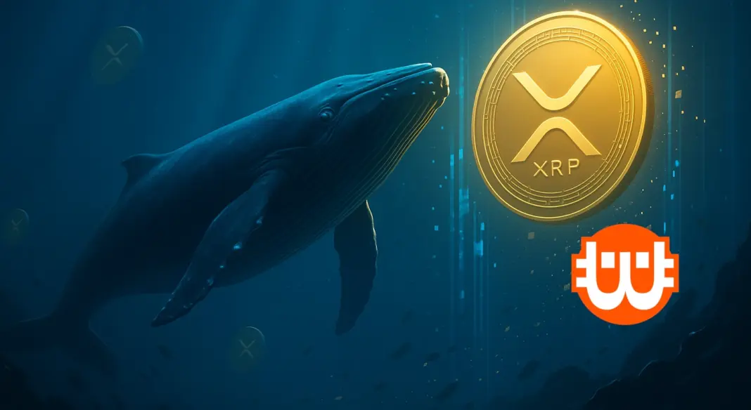 Nagyhalak és intézmények gyűjtenek: az XRP áttörés előtt állhat