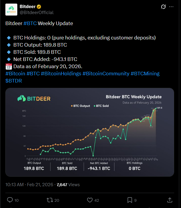 bitcoin, Bitdeer