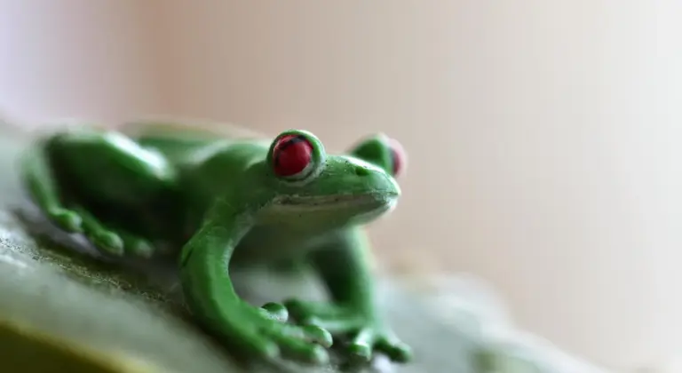 ETF jöhet egy mémcoinra – a Pepe új szintre léphet