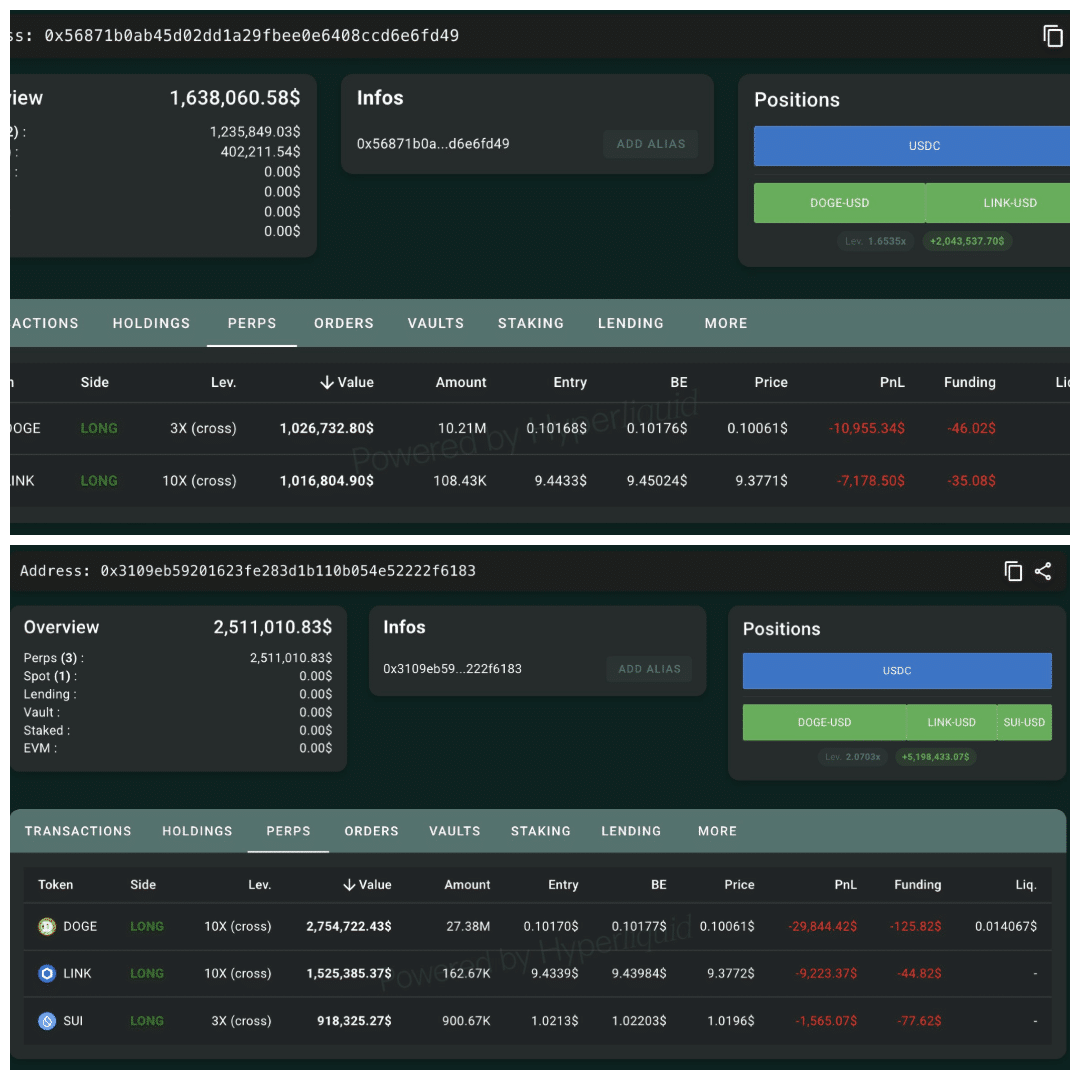 Dogecoin whales