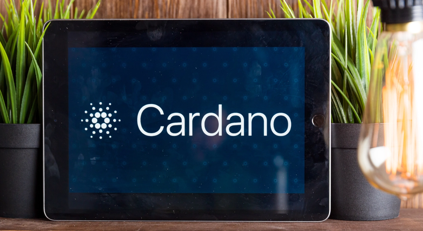 A Cardano-közösség lefújta a saját nagy buliját